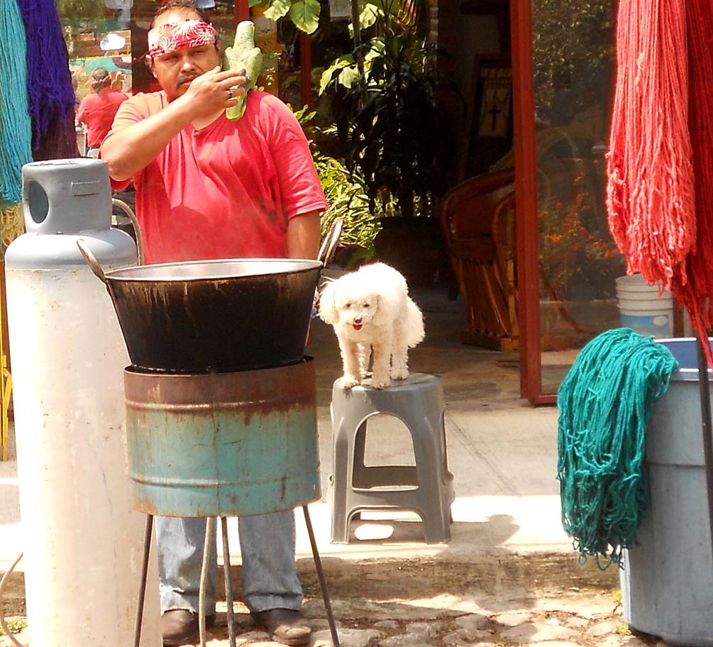 Aztec Studios Ajijic